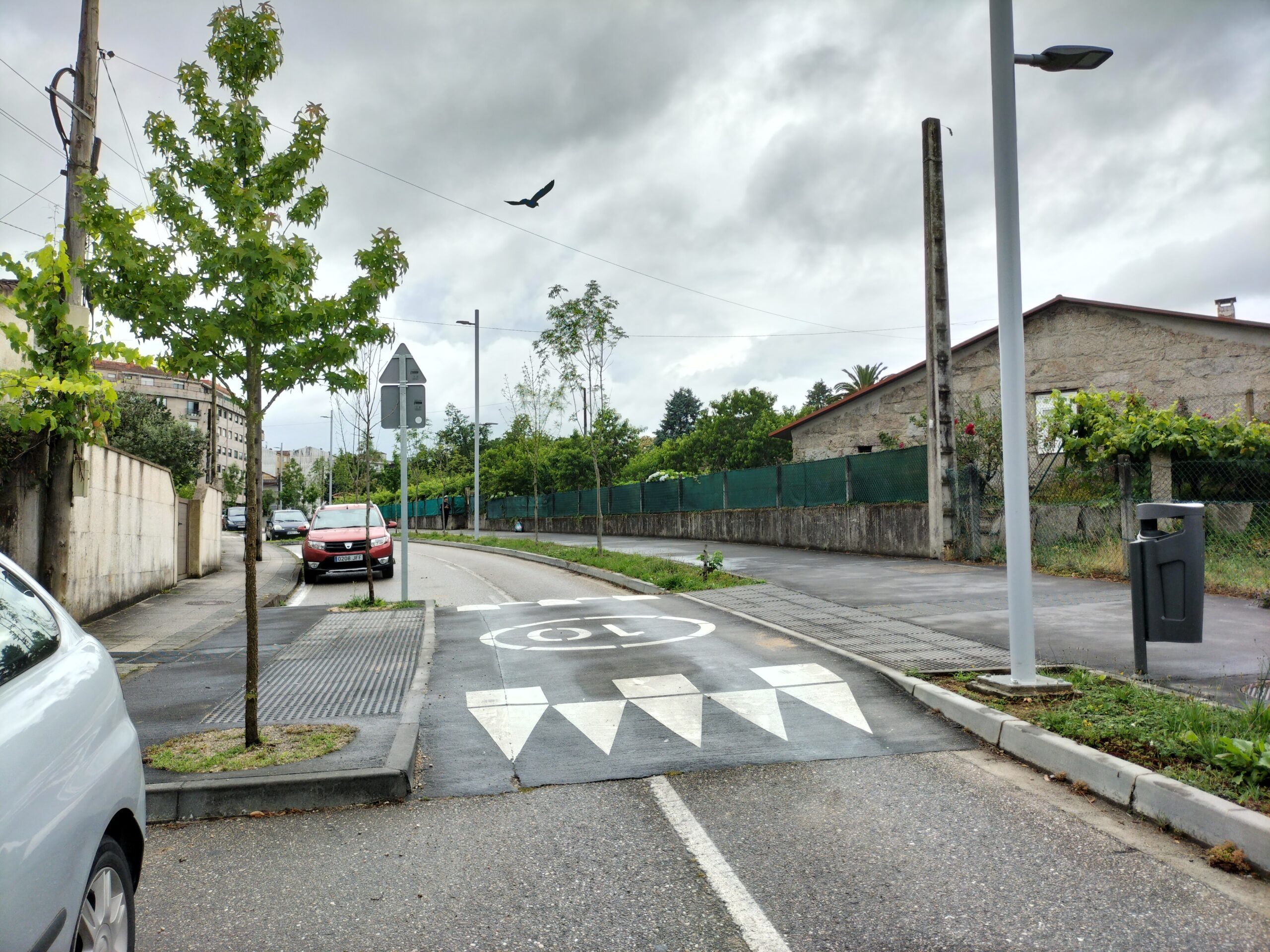 IMG20240617174959 (1)