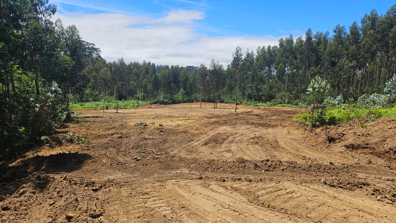 RellenoIlegalSantaMarta