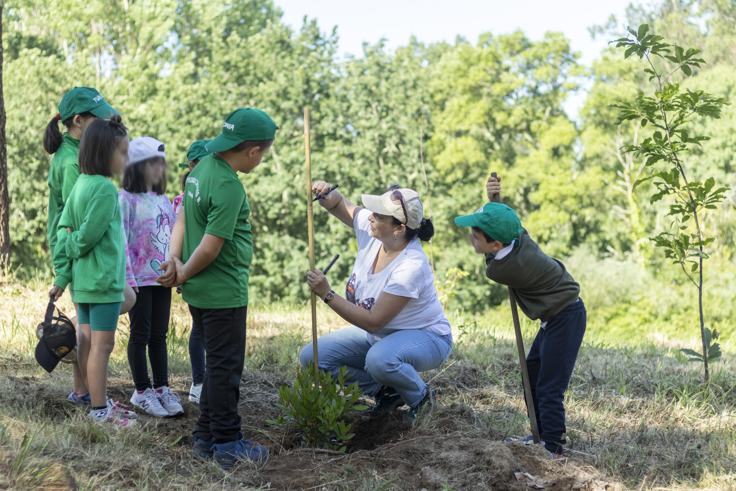Tomiño rodéase de vida coa plantación de 212 novas árbores frondosas autóctonas 03