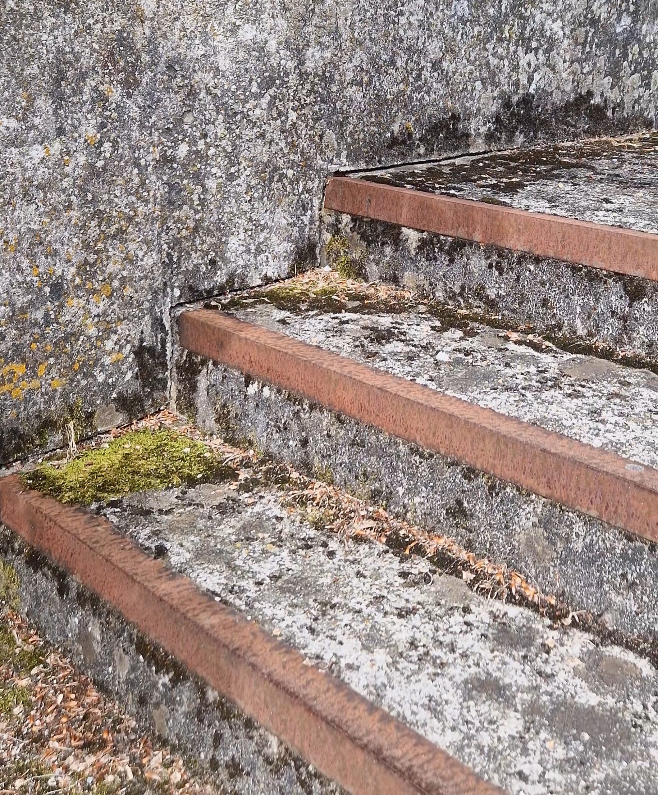 VideoCapture_20240621-112358