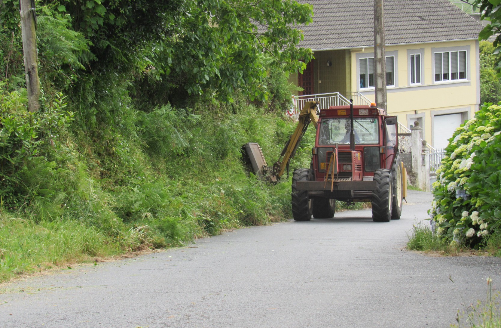 inicio traballos roza 1