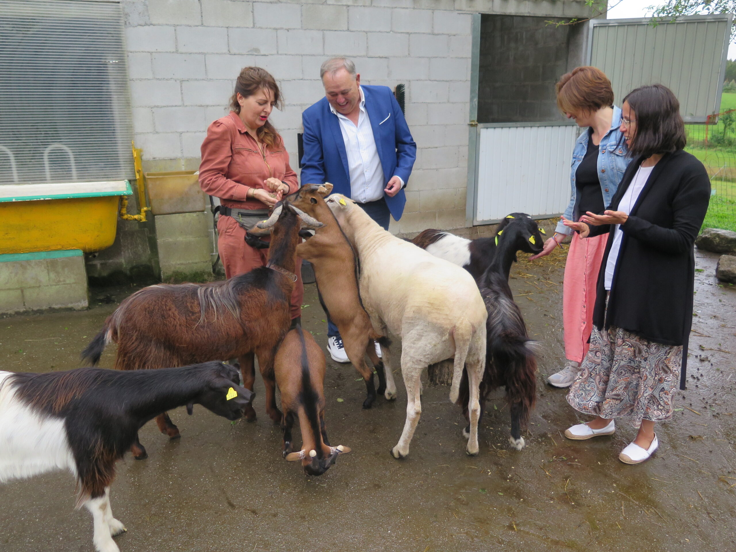 2024.07.12.- Refuxio Acougo (1)