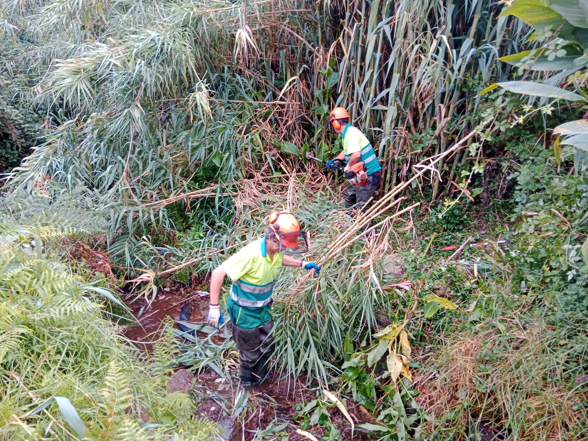 240731 obras conservacion Cangas 2