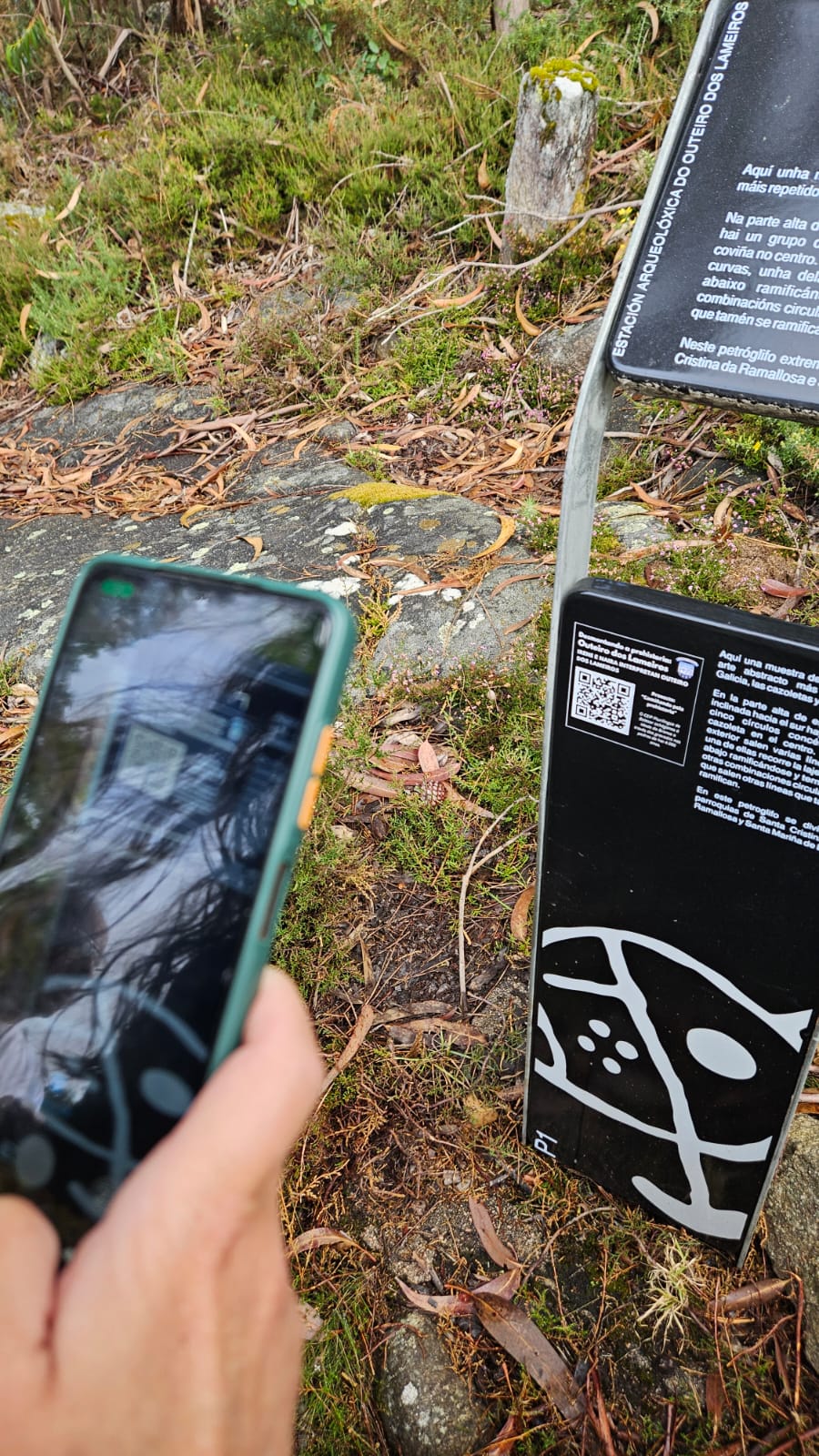 CEIP BELESAR Outeiro dos Lameiros (1)