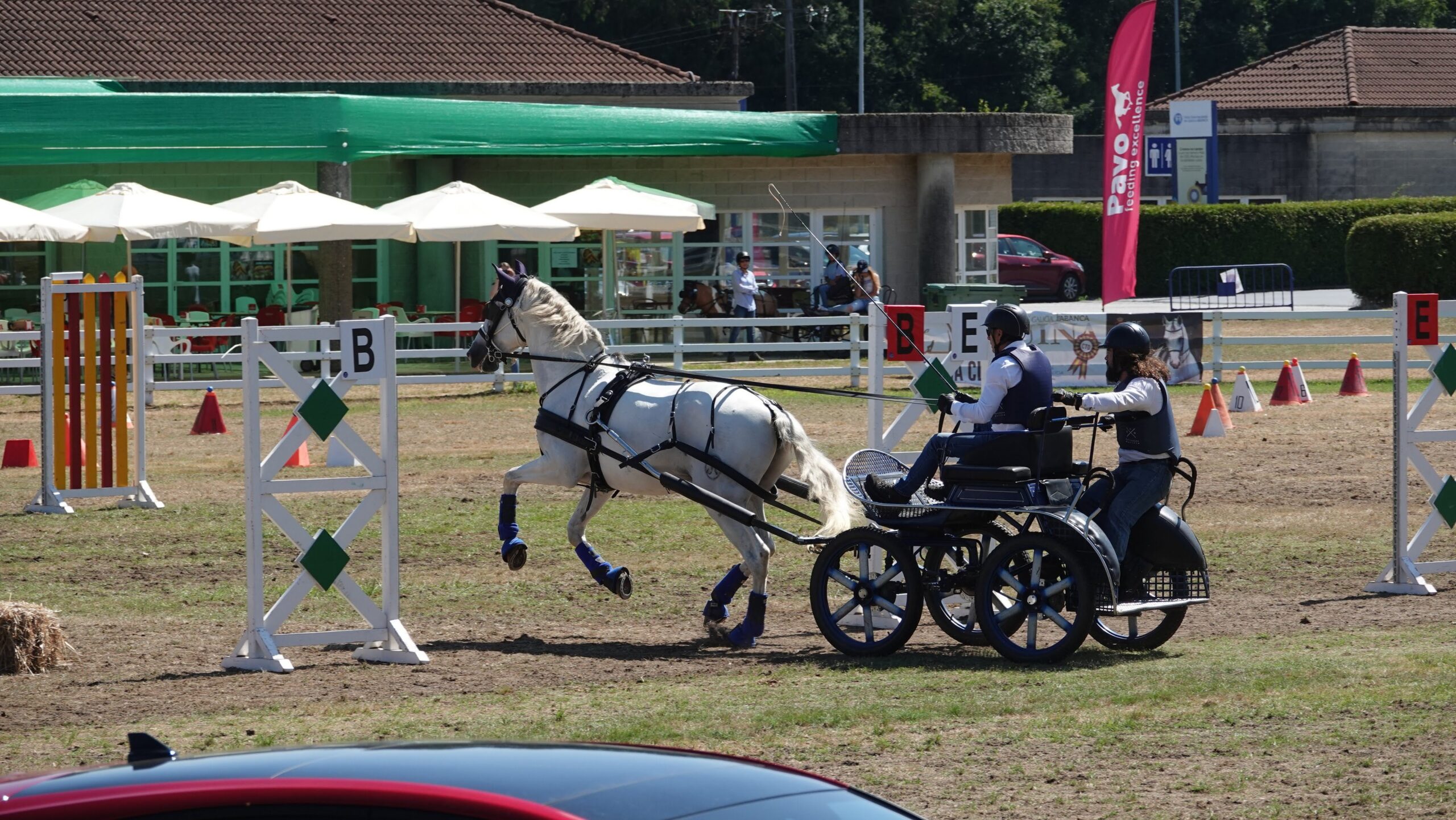 D proba de engaches Equina 2023 DSC03684