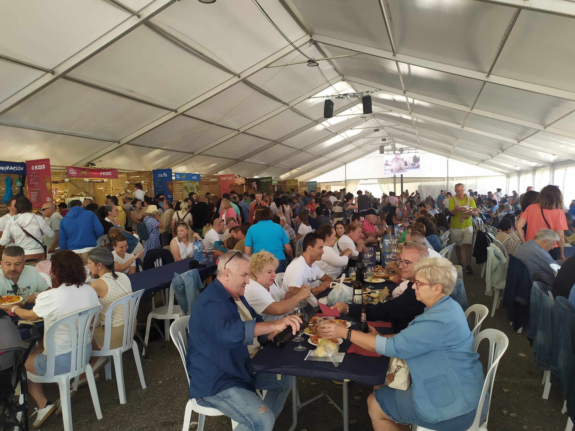 Festa da Langosta 2024 (6)