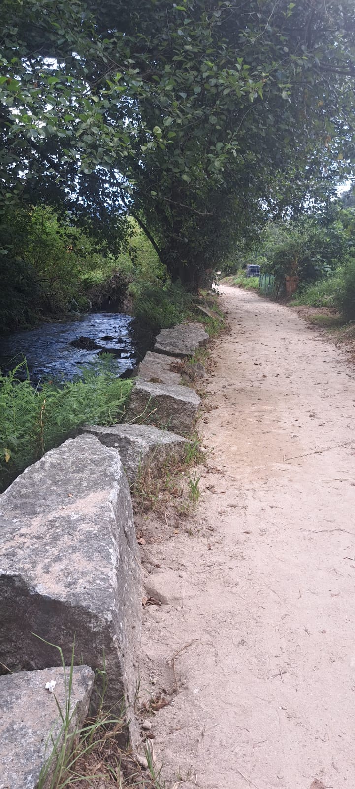 Limpeza senda de Loira (2)