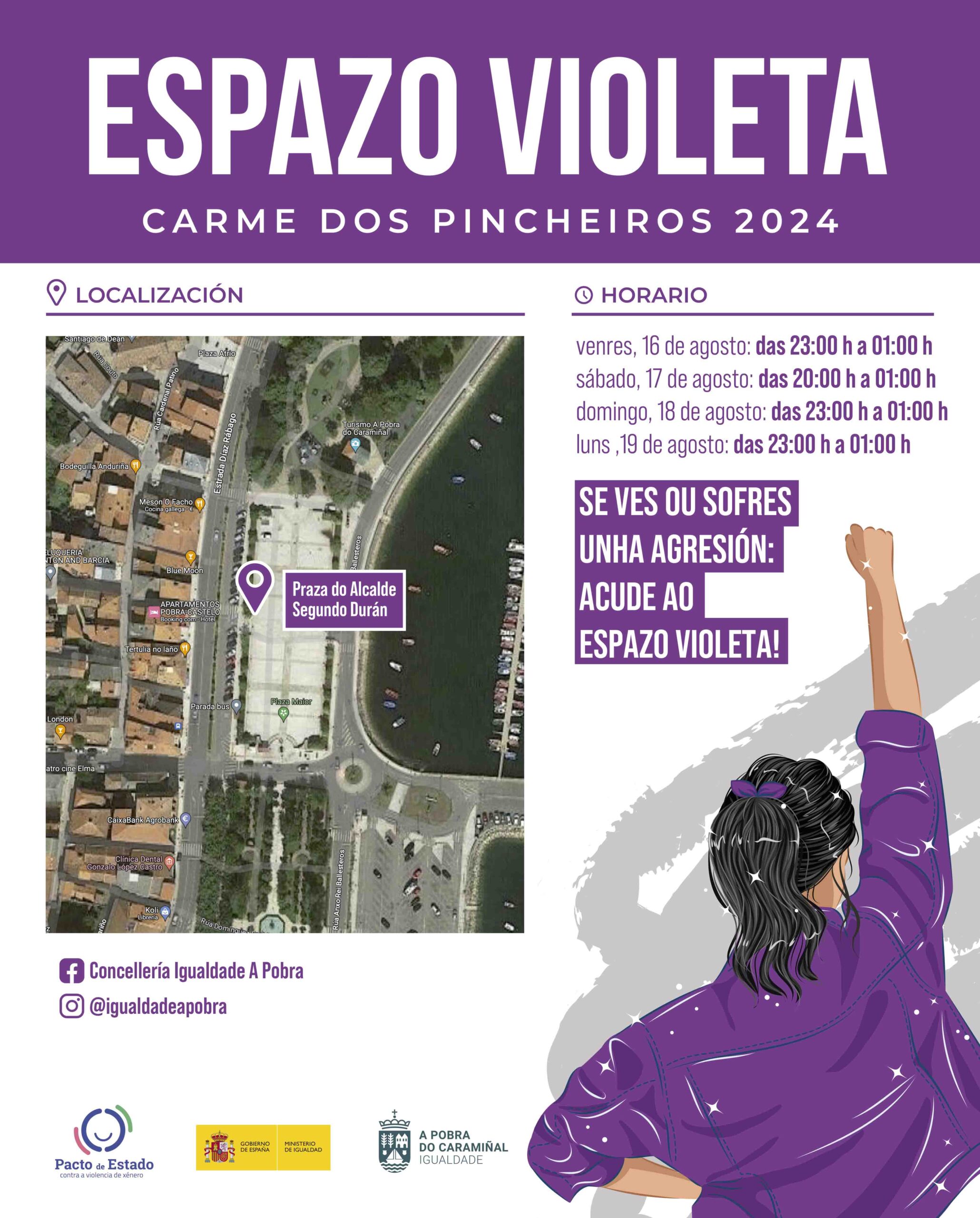Espazo Violeta Pincheiros 24
