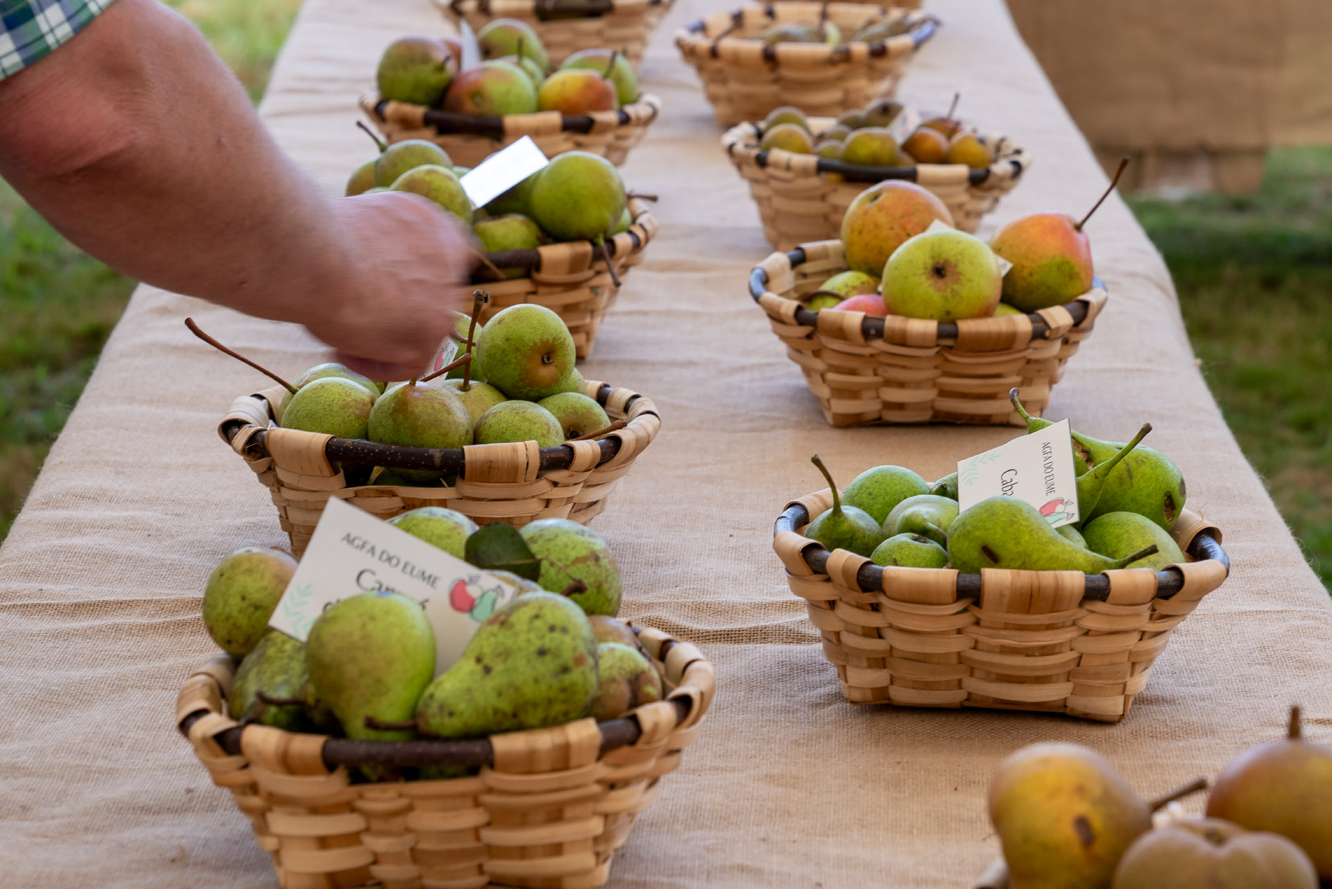 _DSC2897_Original ratio_1920x1281_H_90