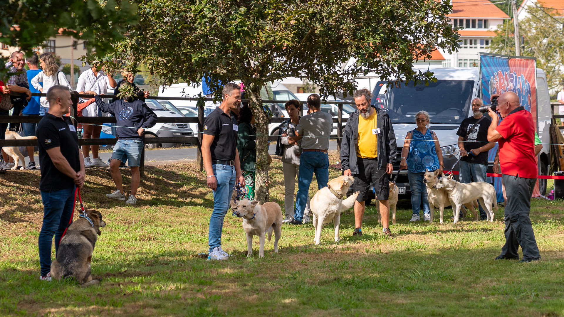 _DSC3009_Original ratio_1920x1080_H_90