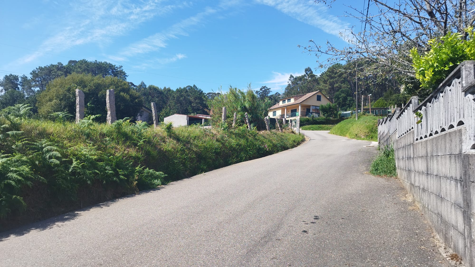 Descontaminación Contrasto 2