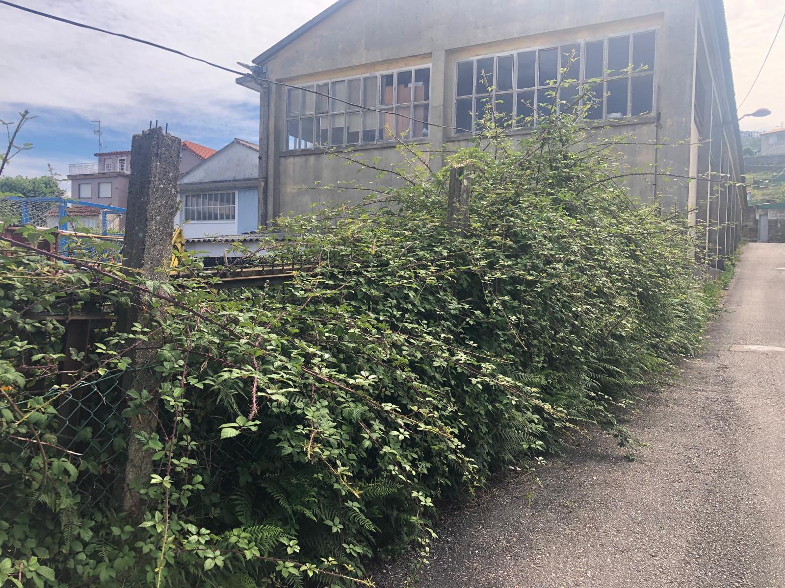 Imagen de WhatsApp 2024-08-20 a las 20.43.06_563b936a