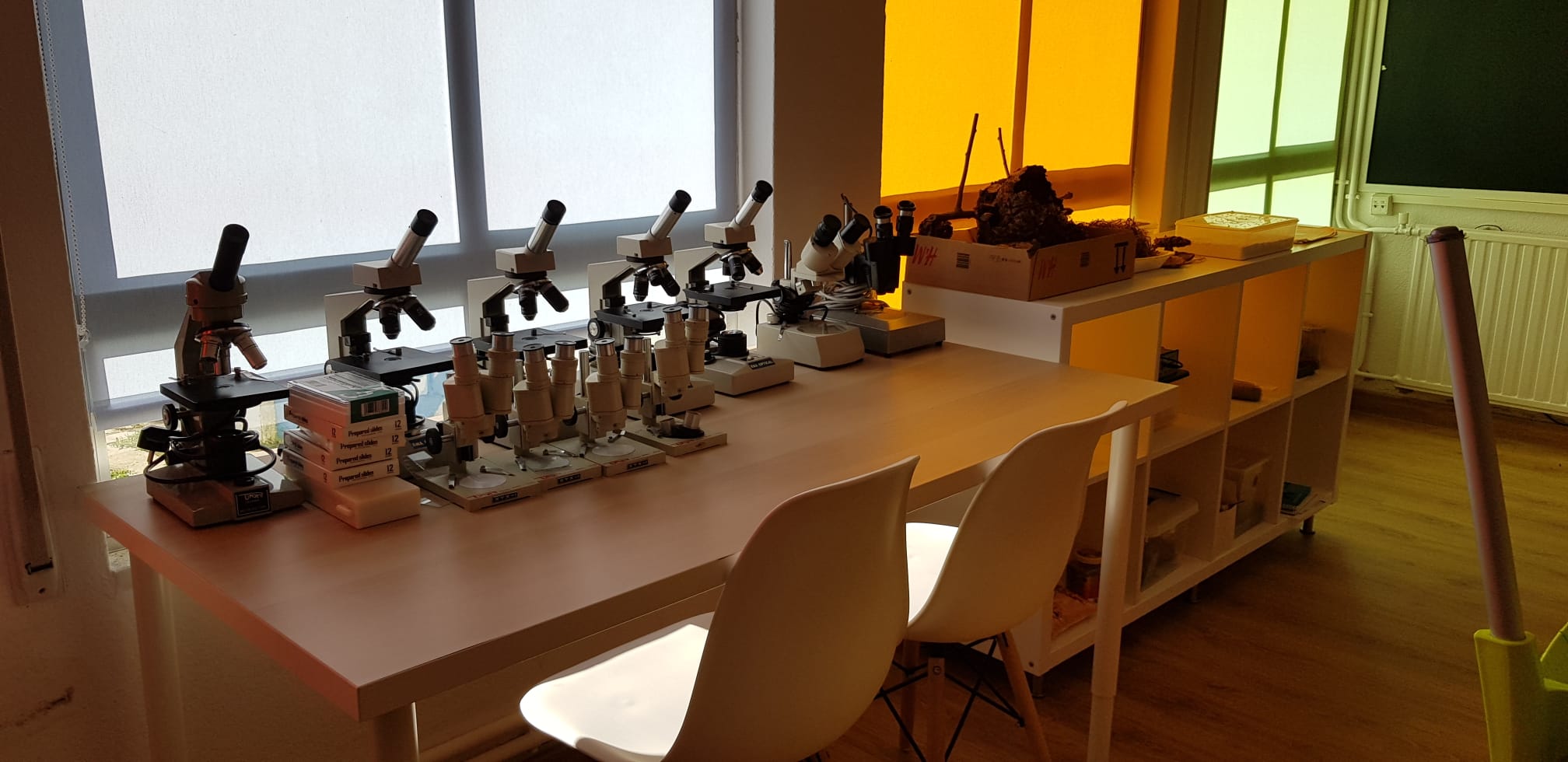 Laboratorios CEIP Florida Sanxenxo