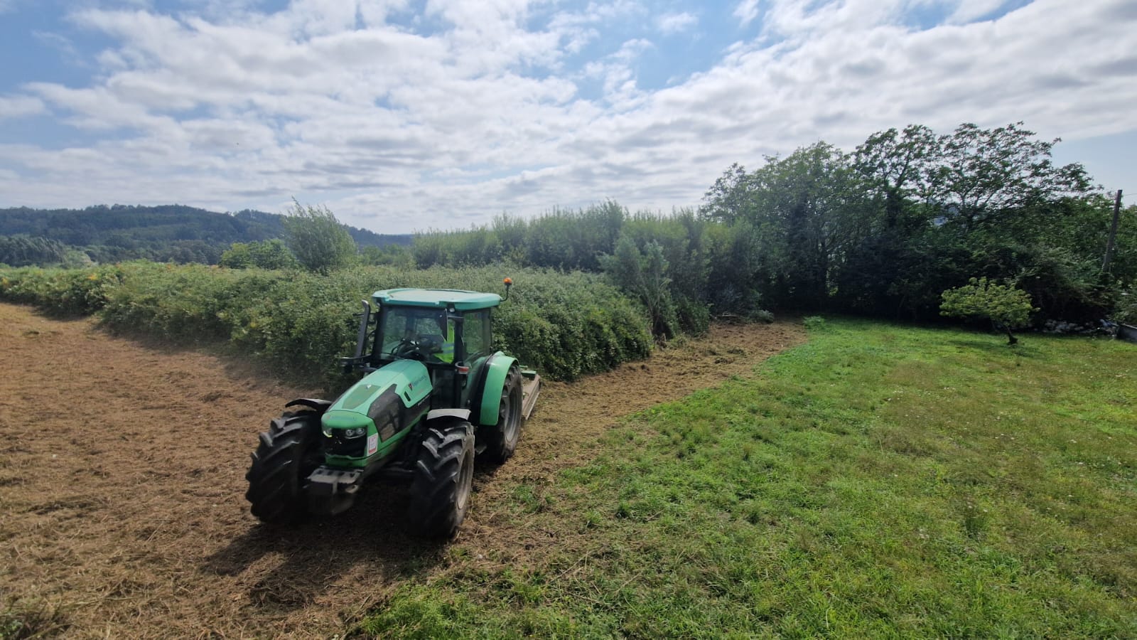 Roza San Pantaleon Paderne (3)