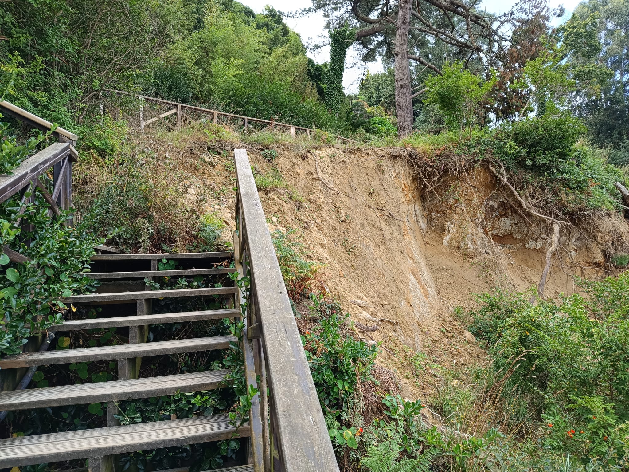 WhatsApp Image 2024-08-27 at 12.12.45