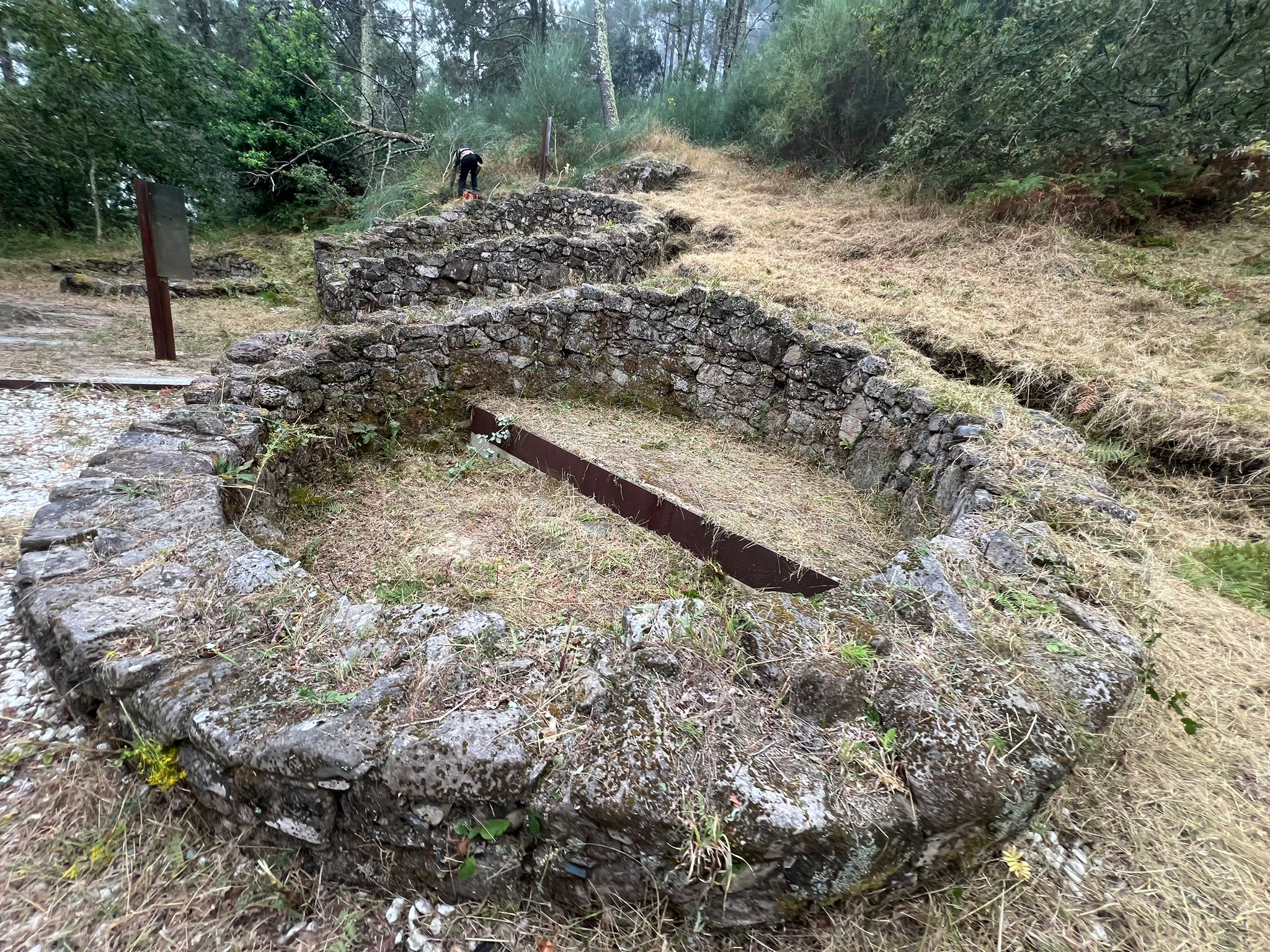 desbroce castro da subida (1)