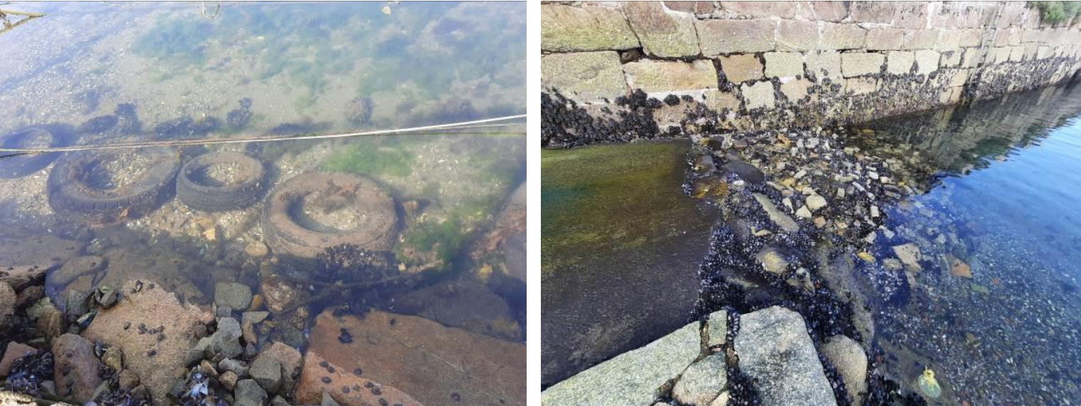 estado actual dos fondos da darsena portuaria