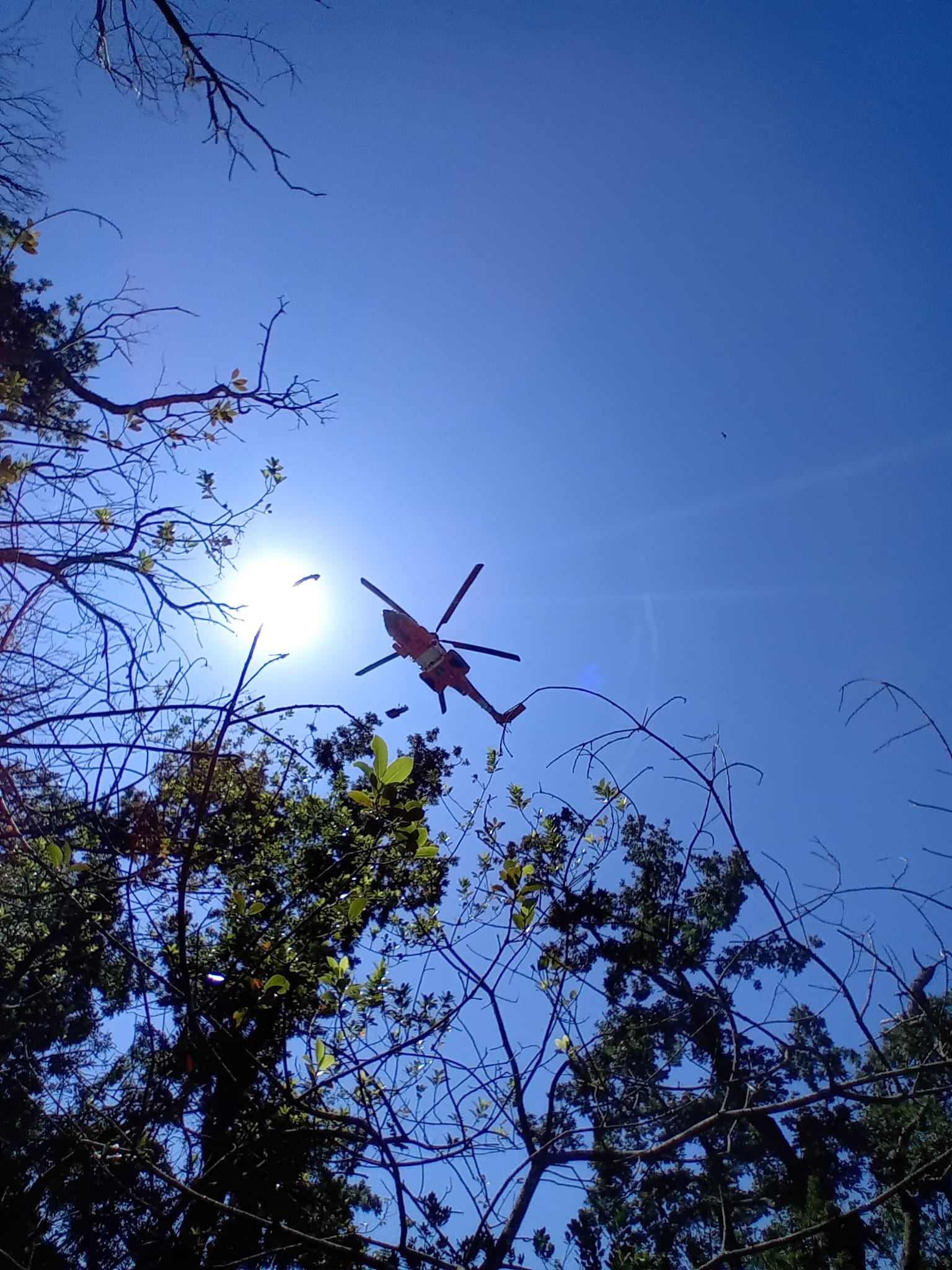 rescate speis as pontes