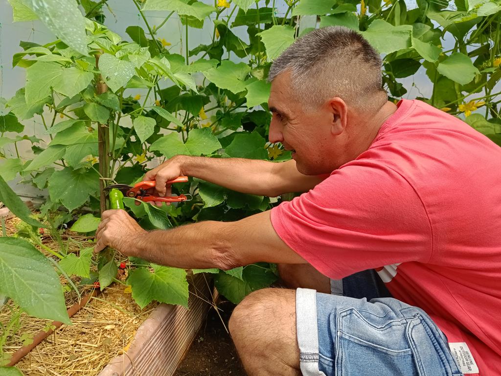 wpHSfBeXFD-persoa-usuaria-do-centro-de-cogami-colabora-no-horto-que-tenen-en-mos