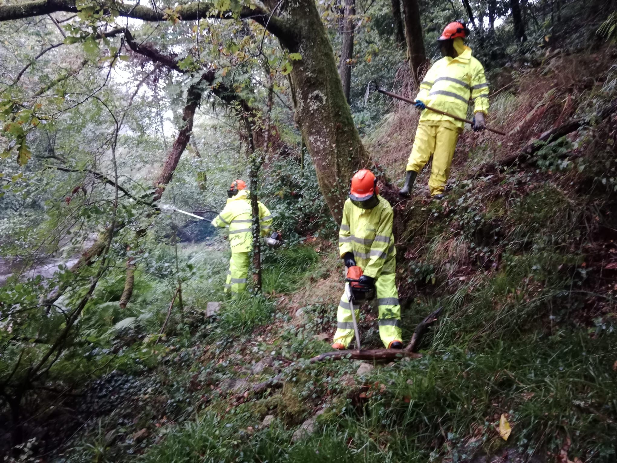 240924 actuacions conservacion rio Umia 2