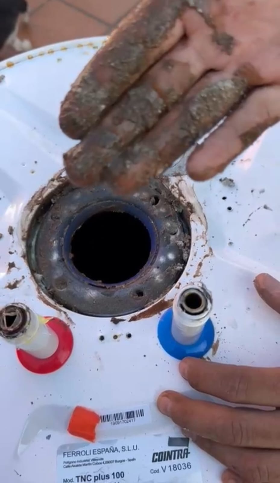 Imagen de WhatsApp 2024-09-27 a las 11.50.39_50bb543d