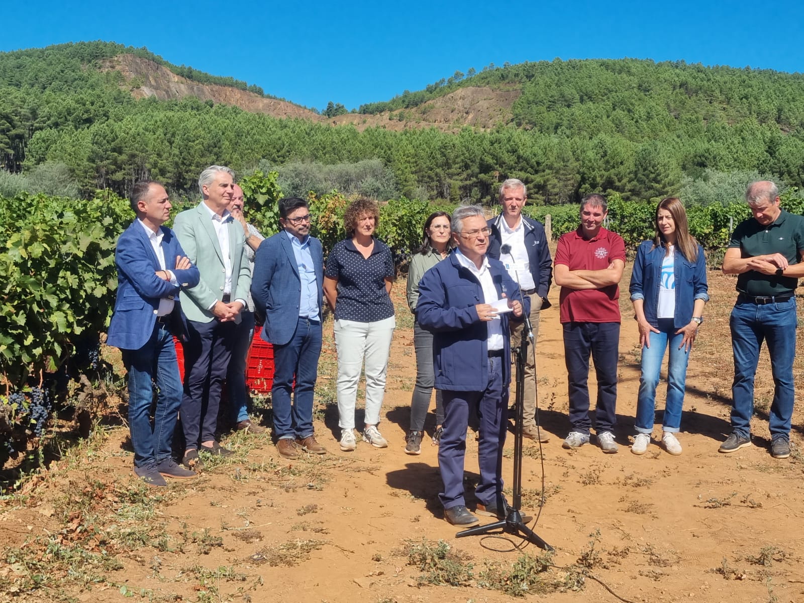 Luis Menor na vendima de adega Ladairo (2)