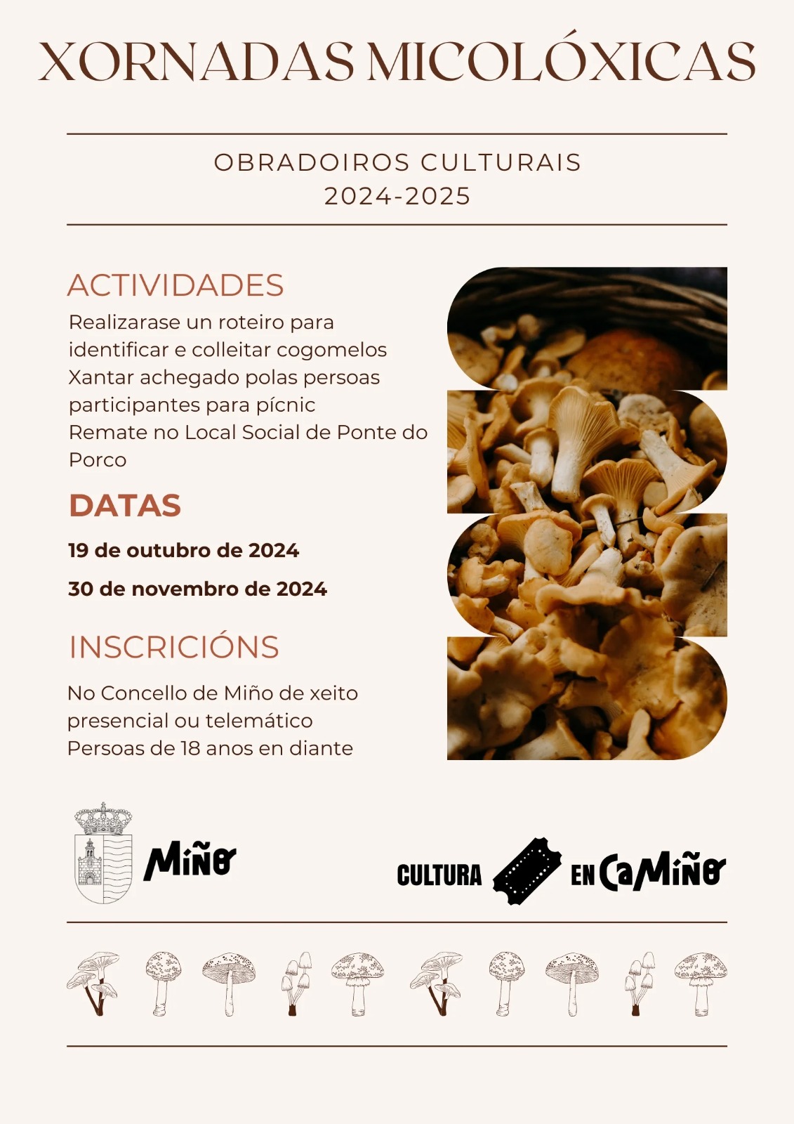 Xornadas micolóxicas