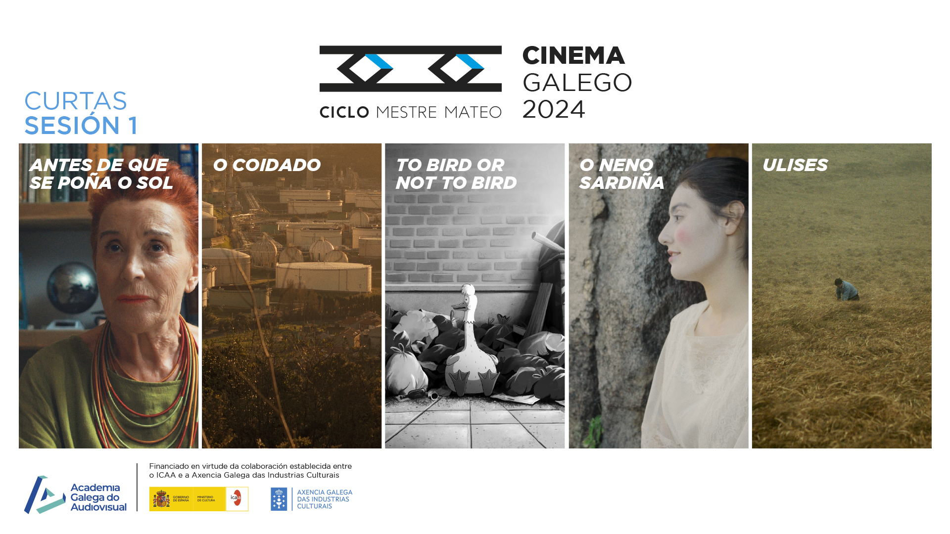 20241002MestreMateoCurtas