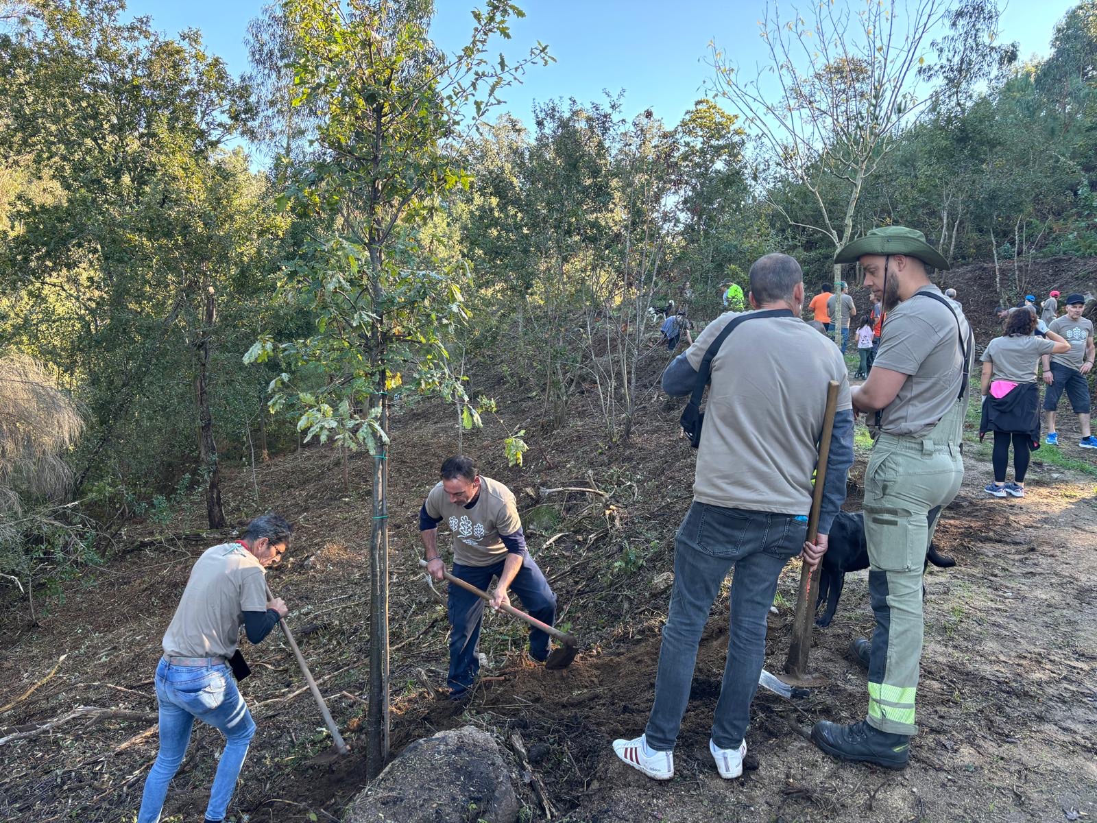 3375a731-1115-4724-a493-1d96aa94100b