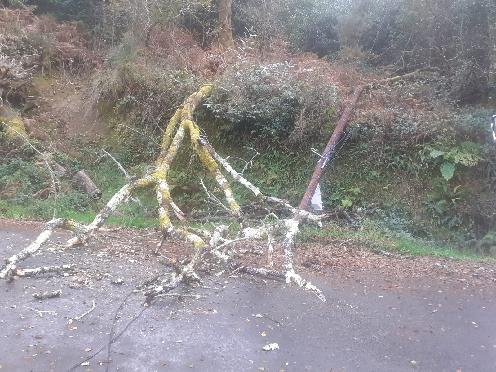 ÁRBORE E POSTE CAÍDOS – AS SOMOZAS