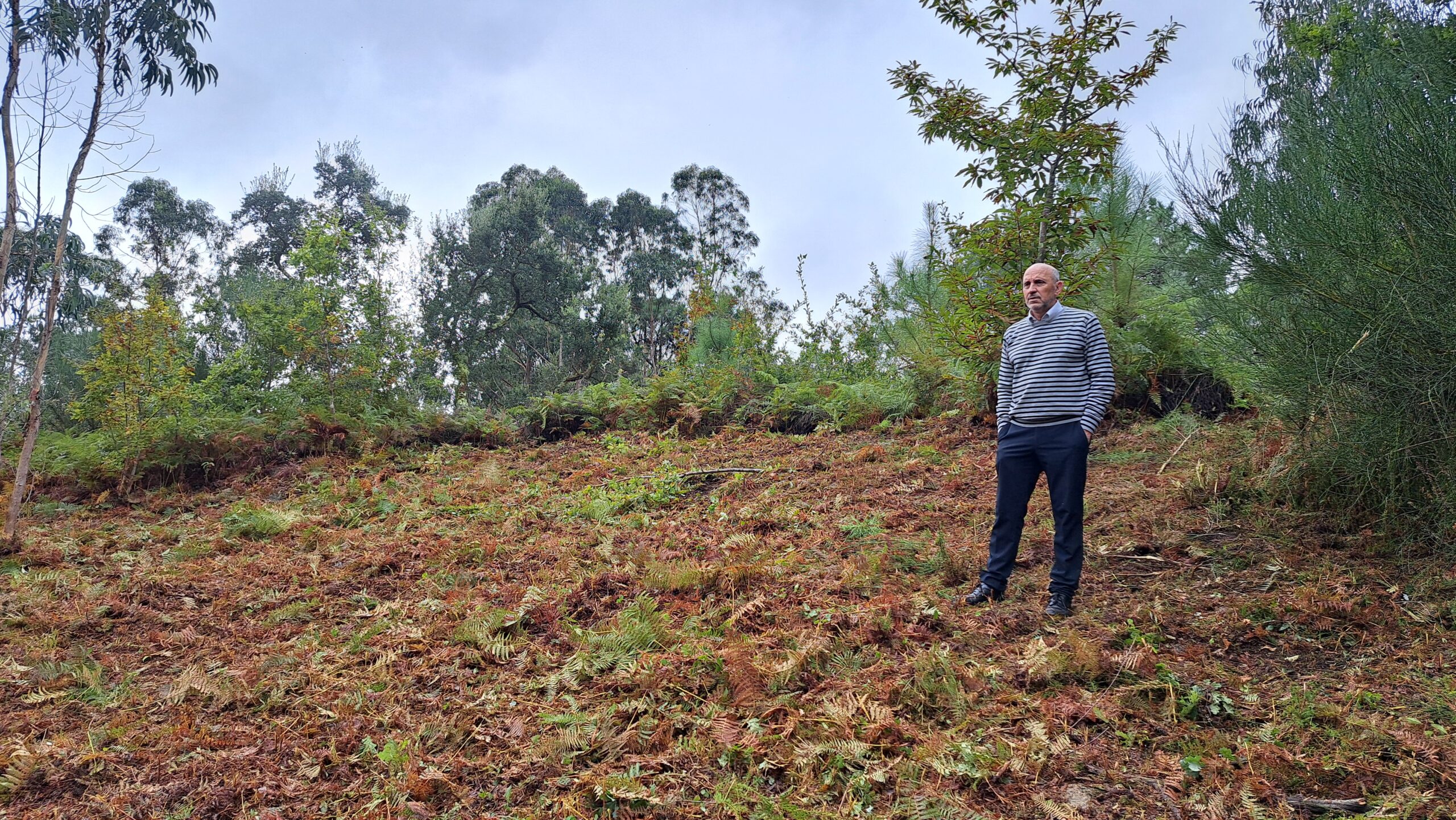 Adquisición Castro da Croa 2024