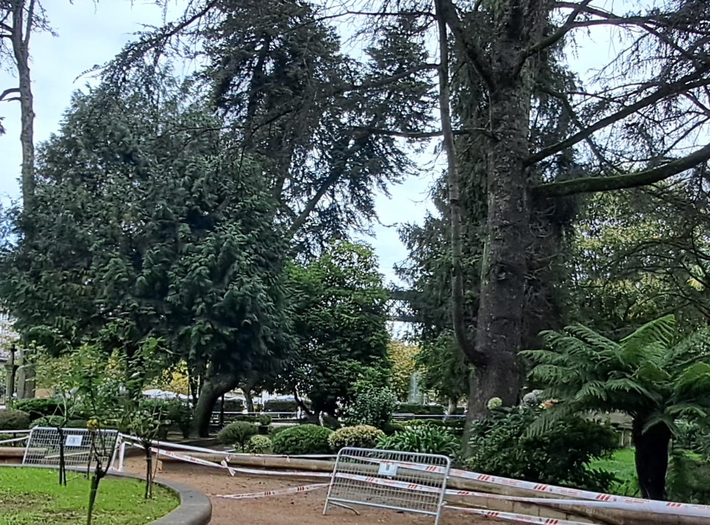 Alameda.95313a73-2f04-4707-b199-398a22c0afac