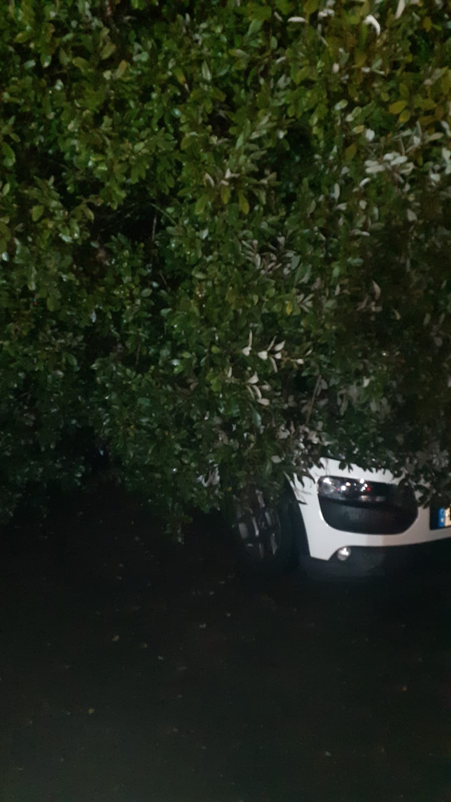 CONCELLO DE SADA – VEHÍCULO ESTACIONADO