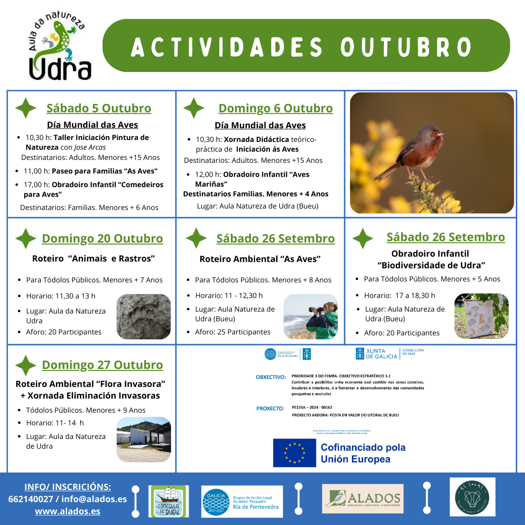 Cartel Genérico Programación mensual oUTUBRO