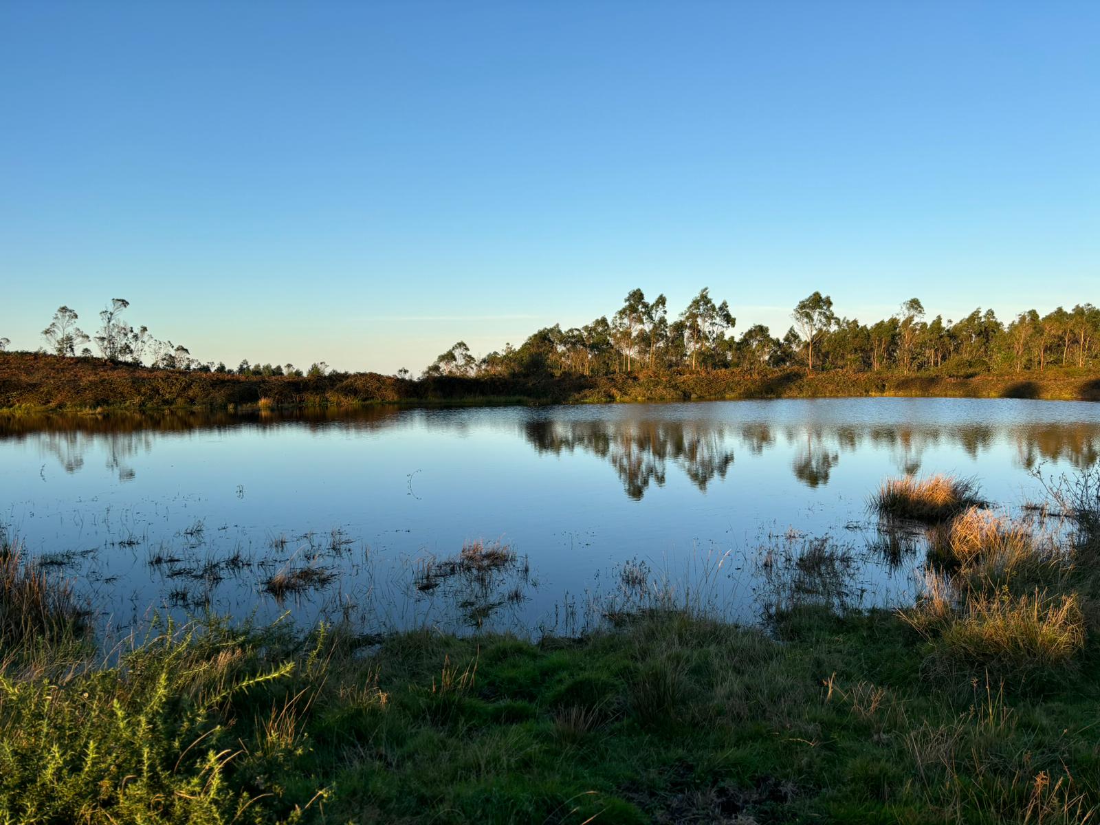 Lagoa de Zó Cuntis