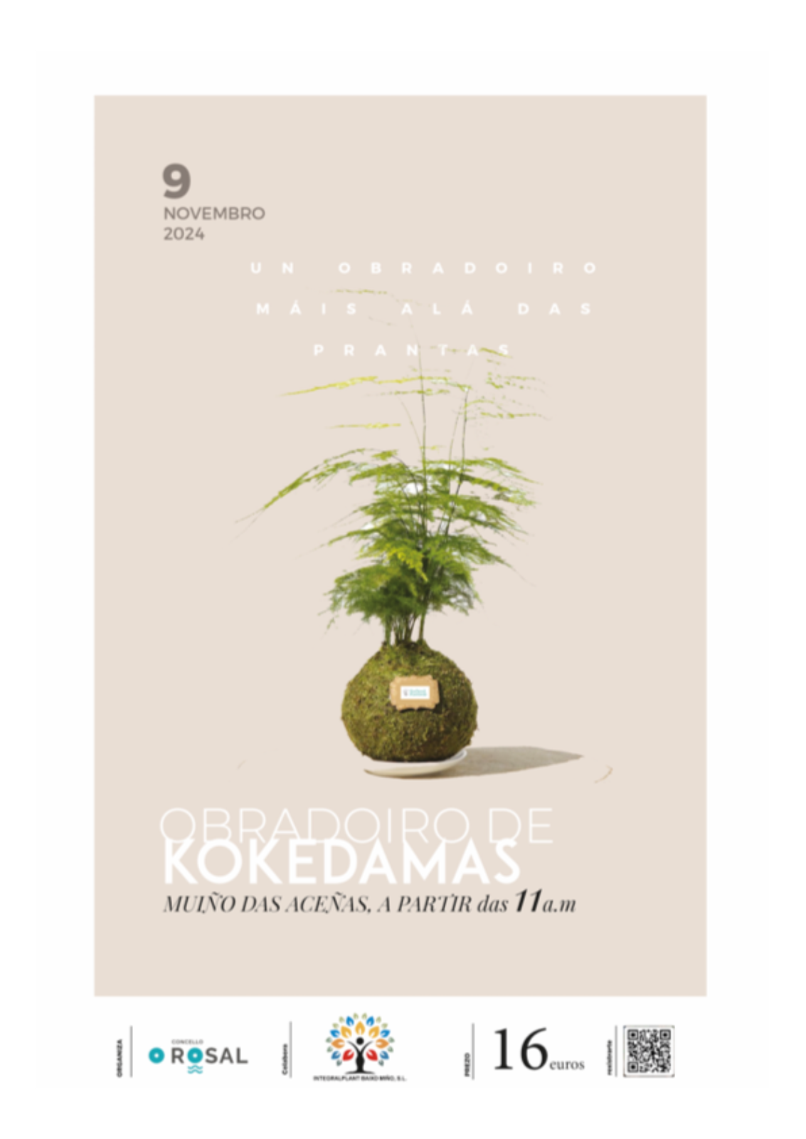 O Rosal enraiěza o benestar cun taller para aprender a crear kokedamas