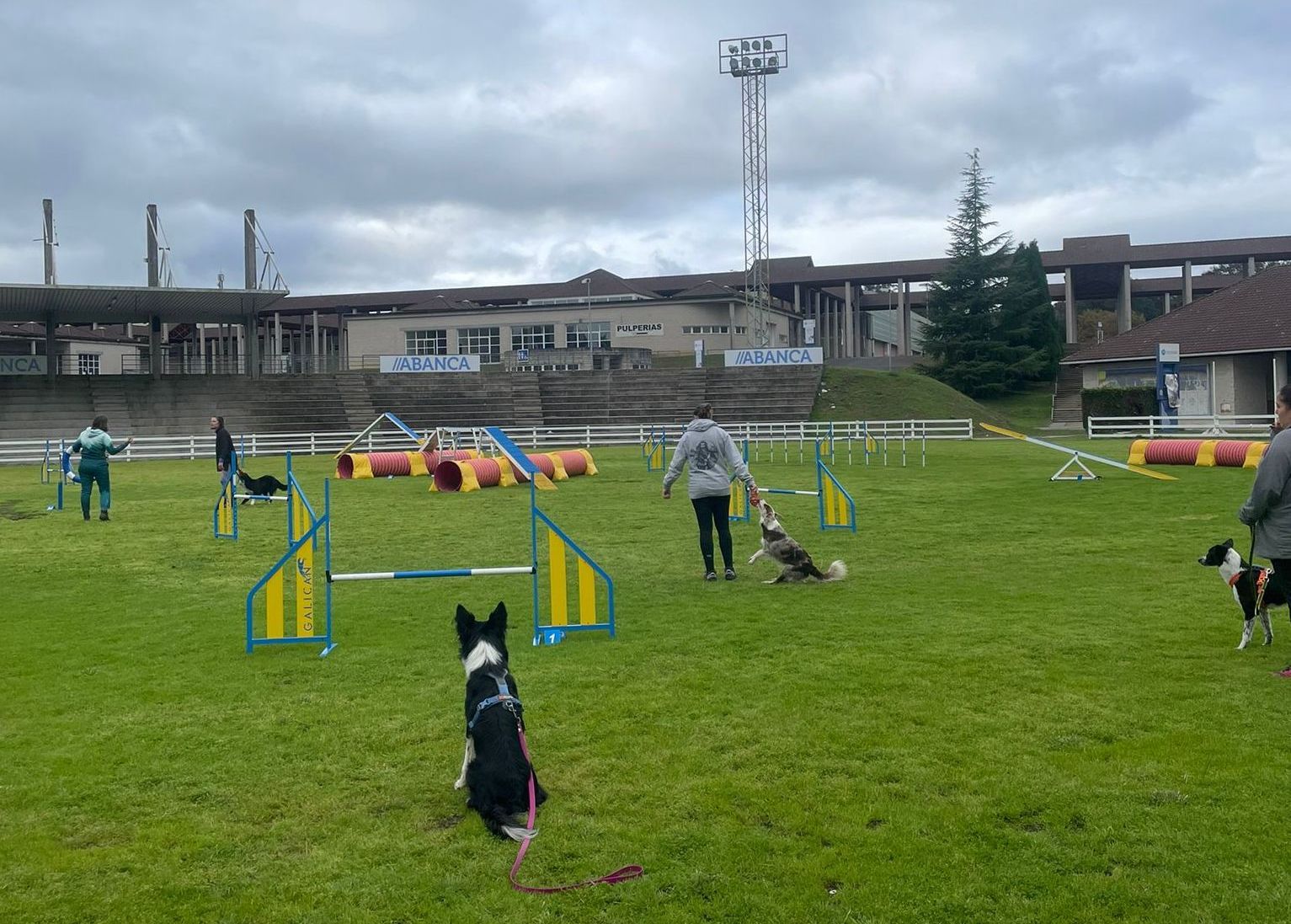 Seminario Galician Agility Festival hoxe no recinto -2