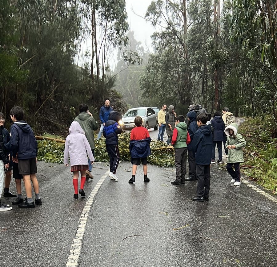 b3da4f9e-03b8-4c23-b47b-0907b4789162