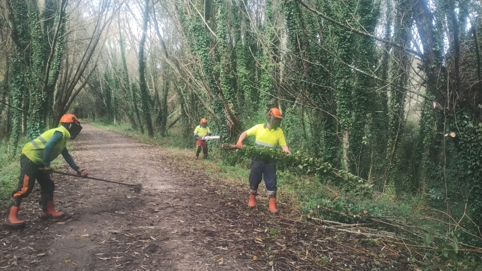 20241111ConservacionRioMero