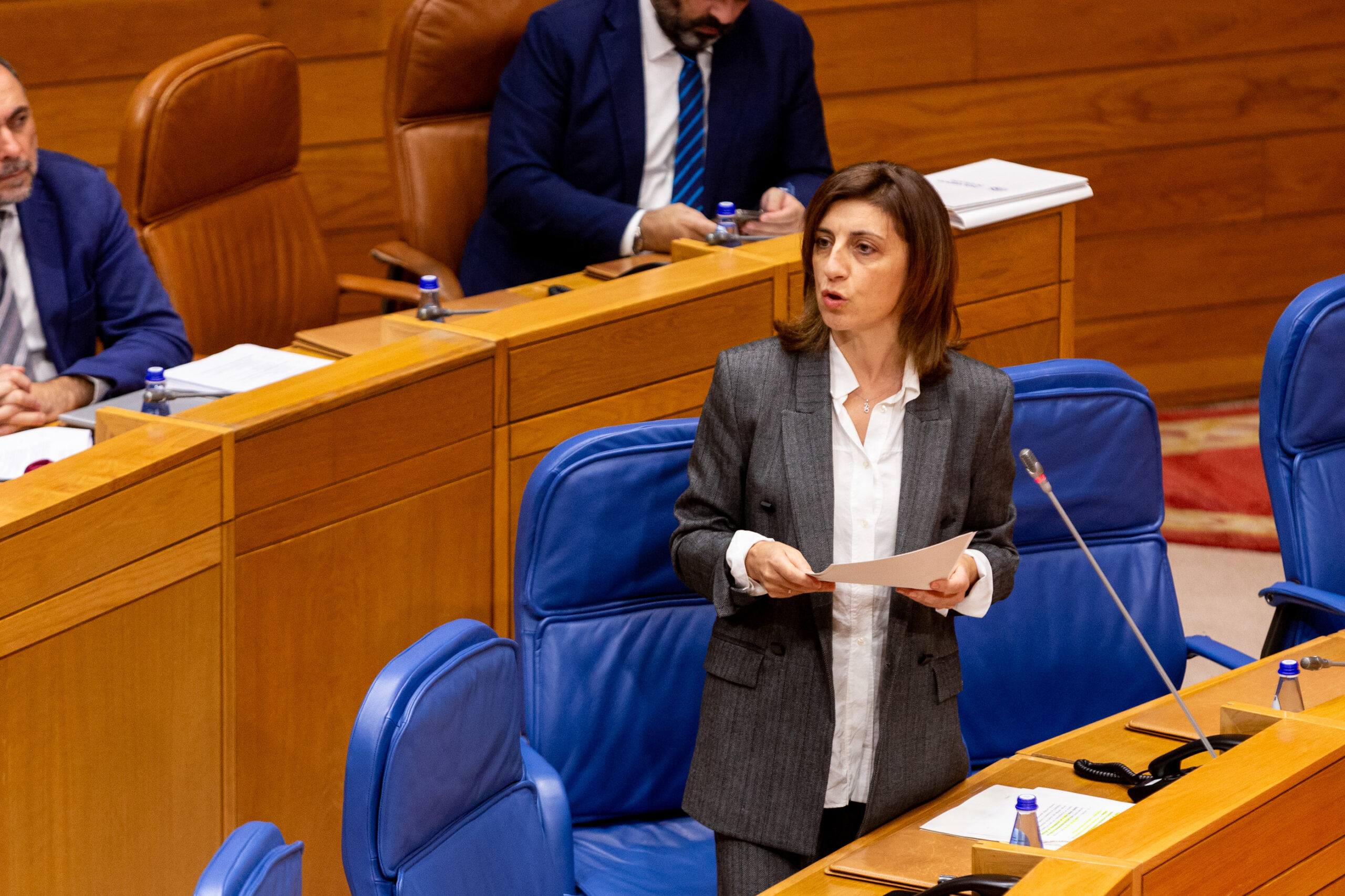 20241120 AVMPlenoPregunta