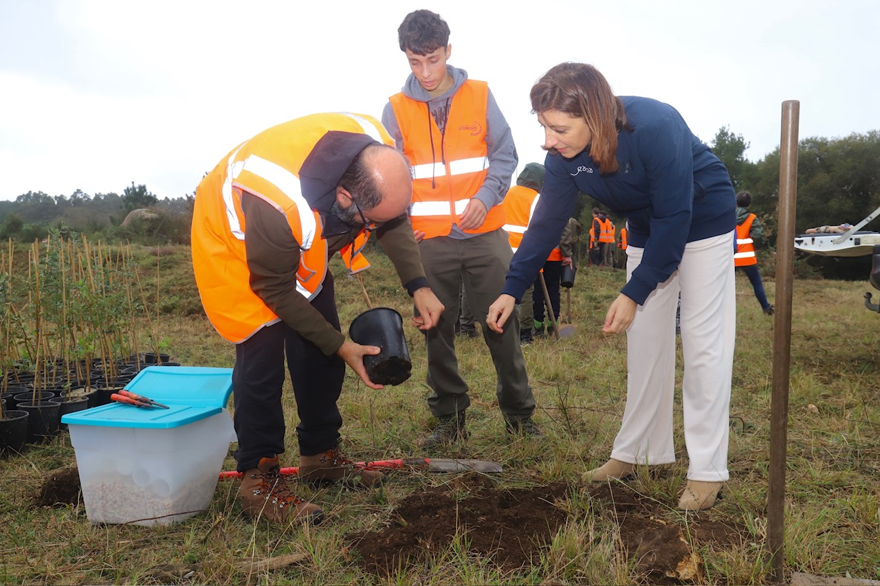 20241121 AVMCorrubedo 1