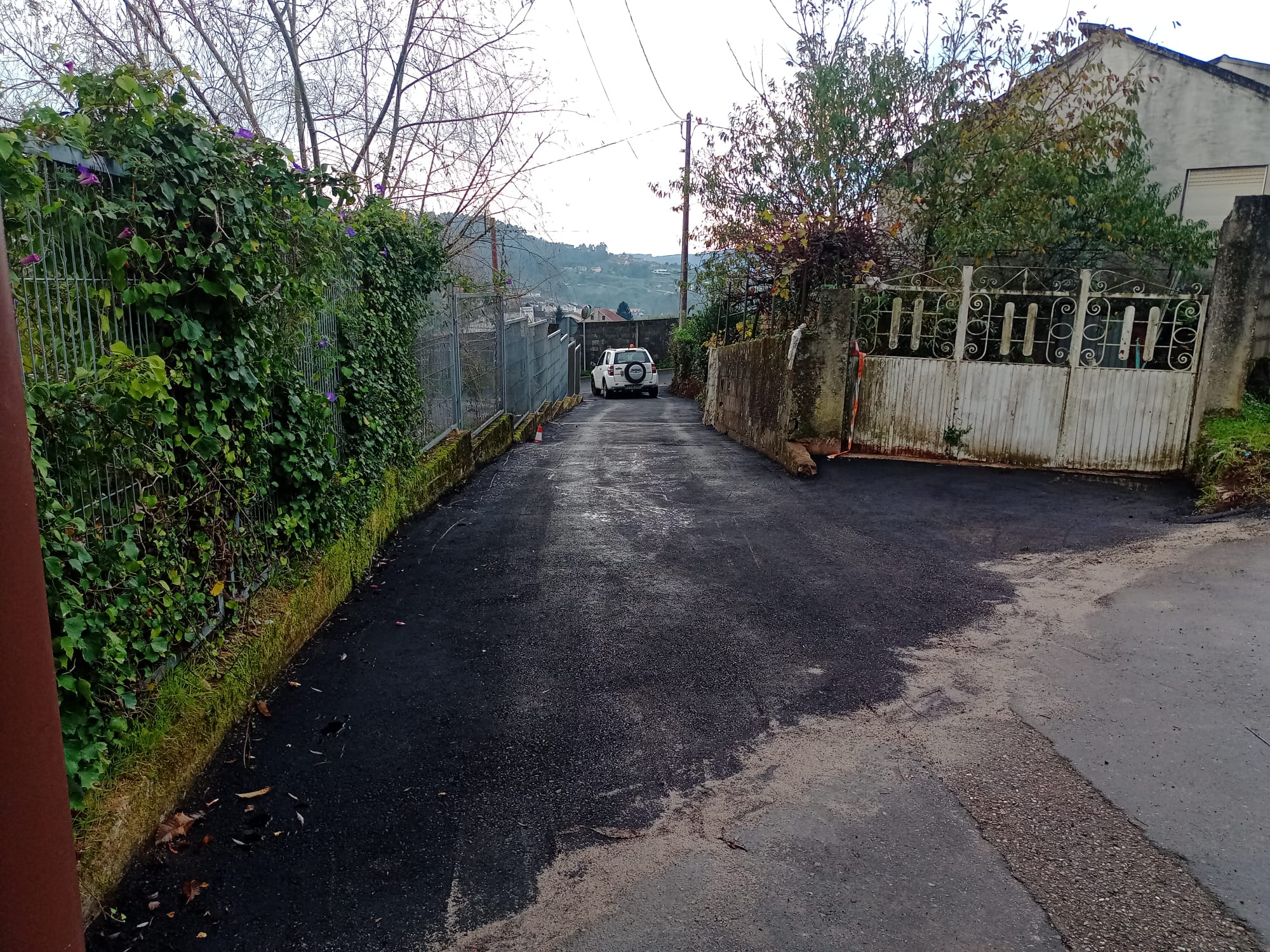 Camiño.Carambola.10d0986f-62bc-42a6-ae48-d99a4ea44f8a (1)