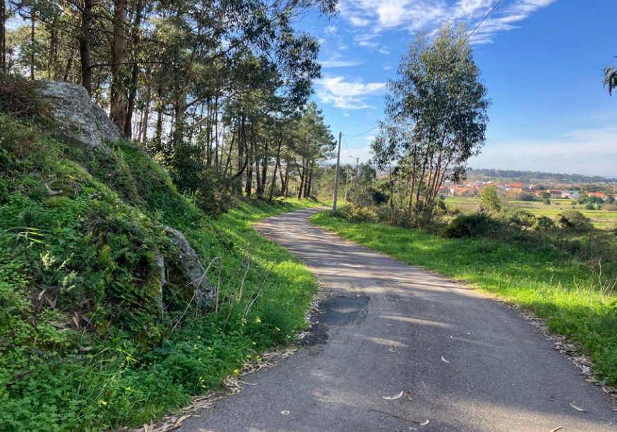 Captura de pantalla 2024-11-05 113304