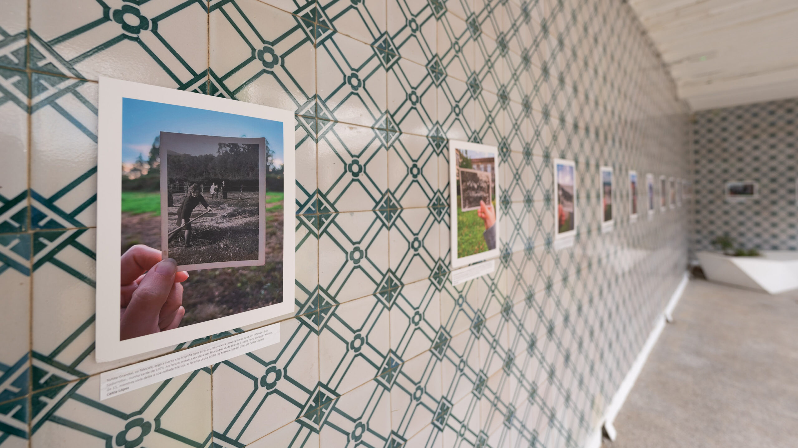 _DSC6254_3000x1688_H_100_Original ratio