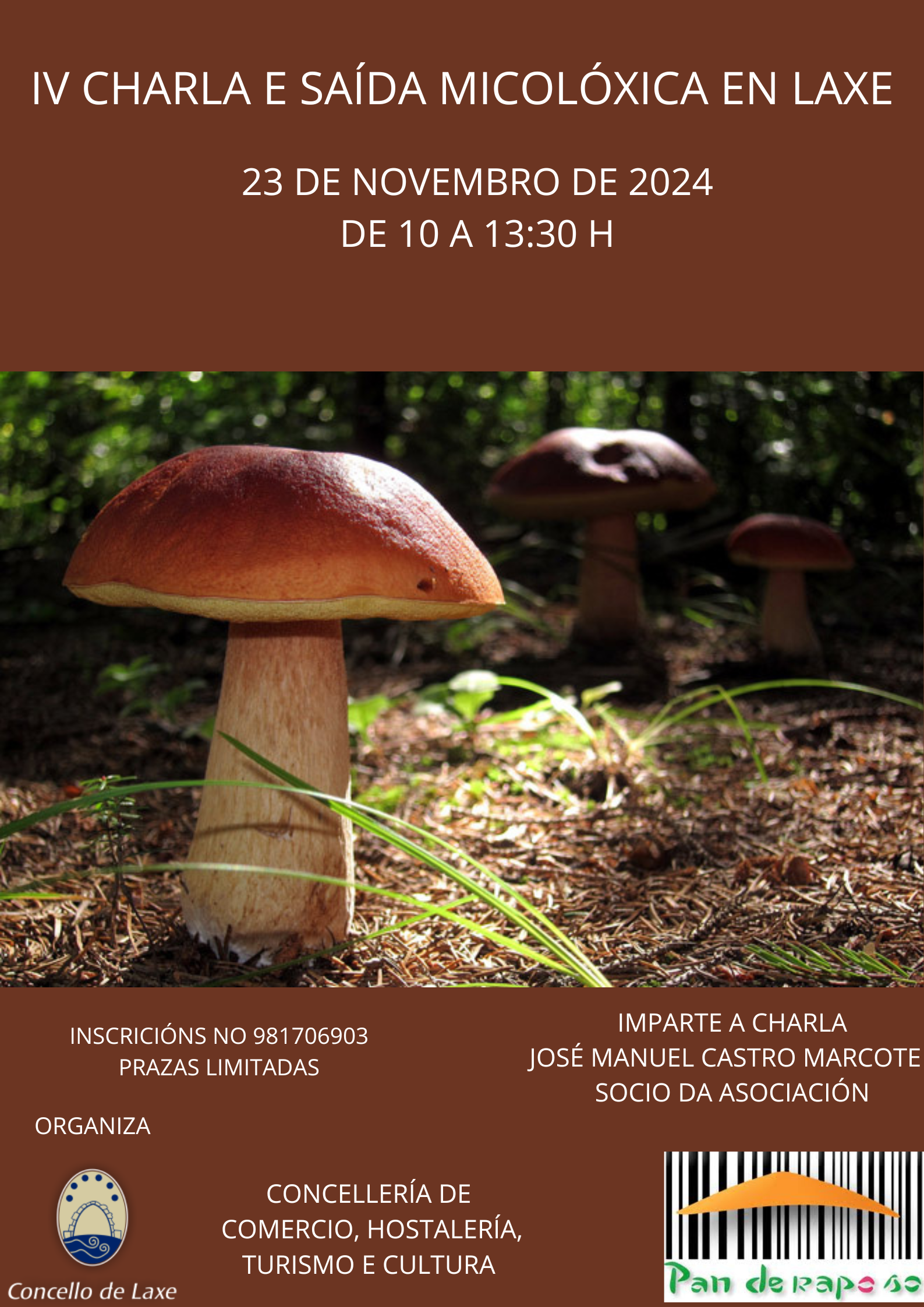 LAXE – IV CHARLA MICOLÓXICA