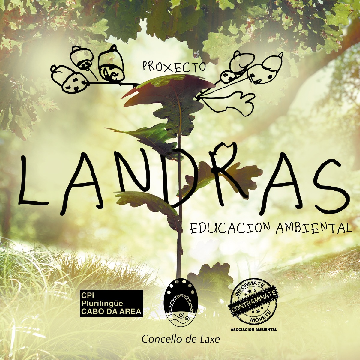 PROXECTO LANDRAS 2024