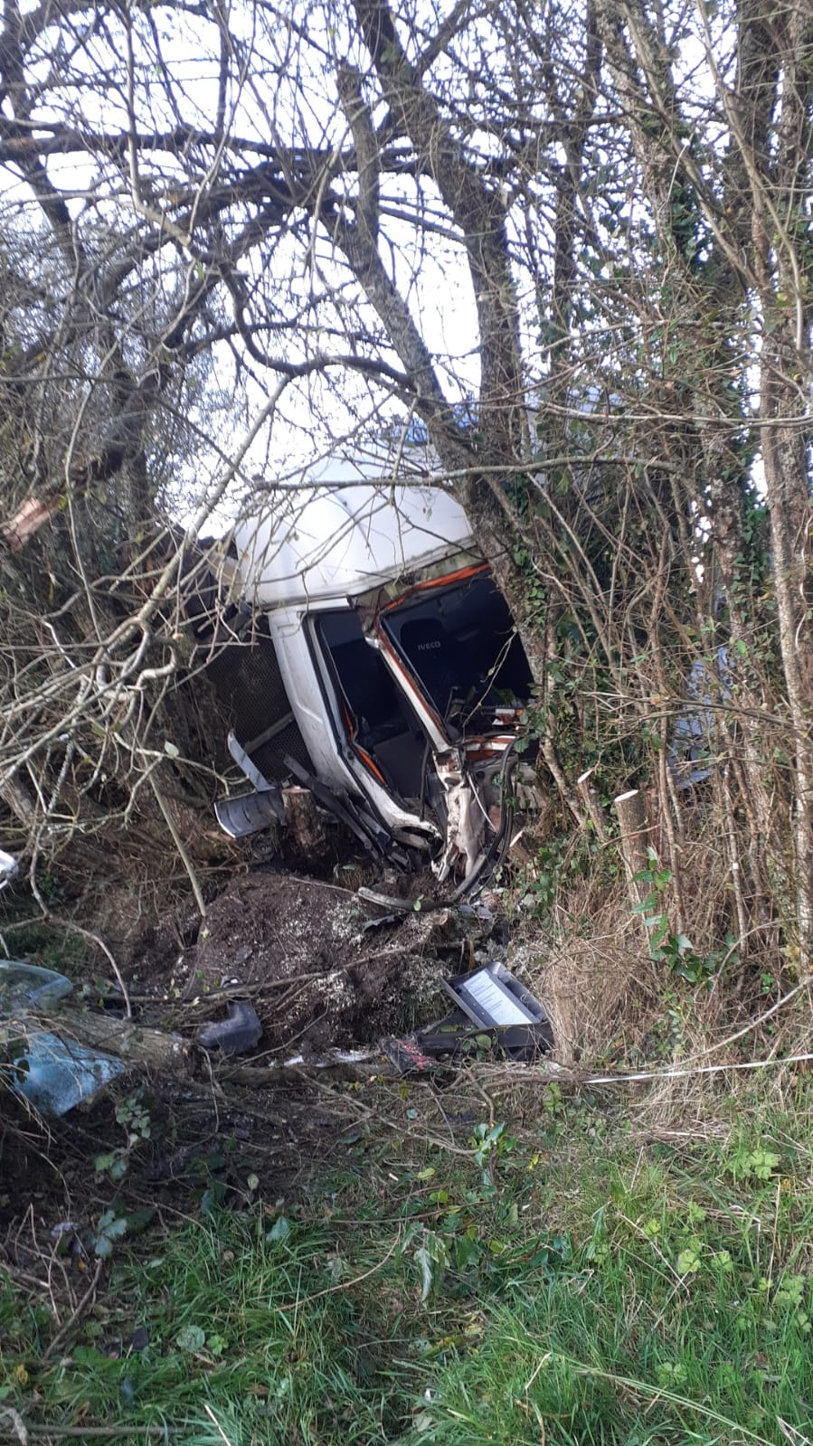 WhatsApp Image 2024-11-01 at 17.56.25 (1)