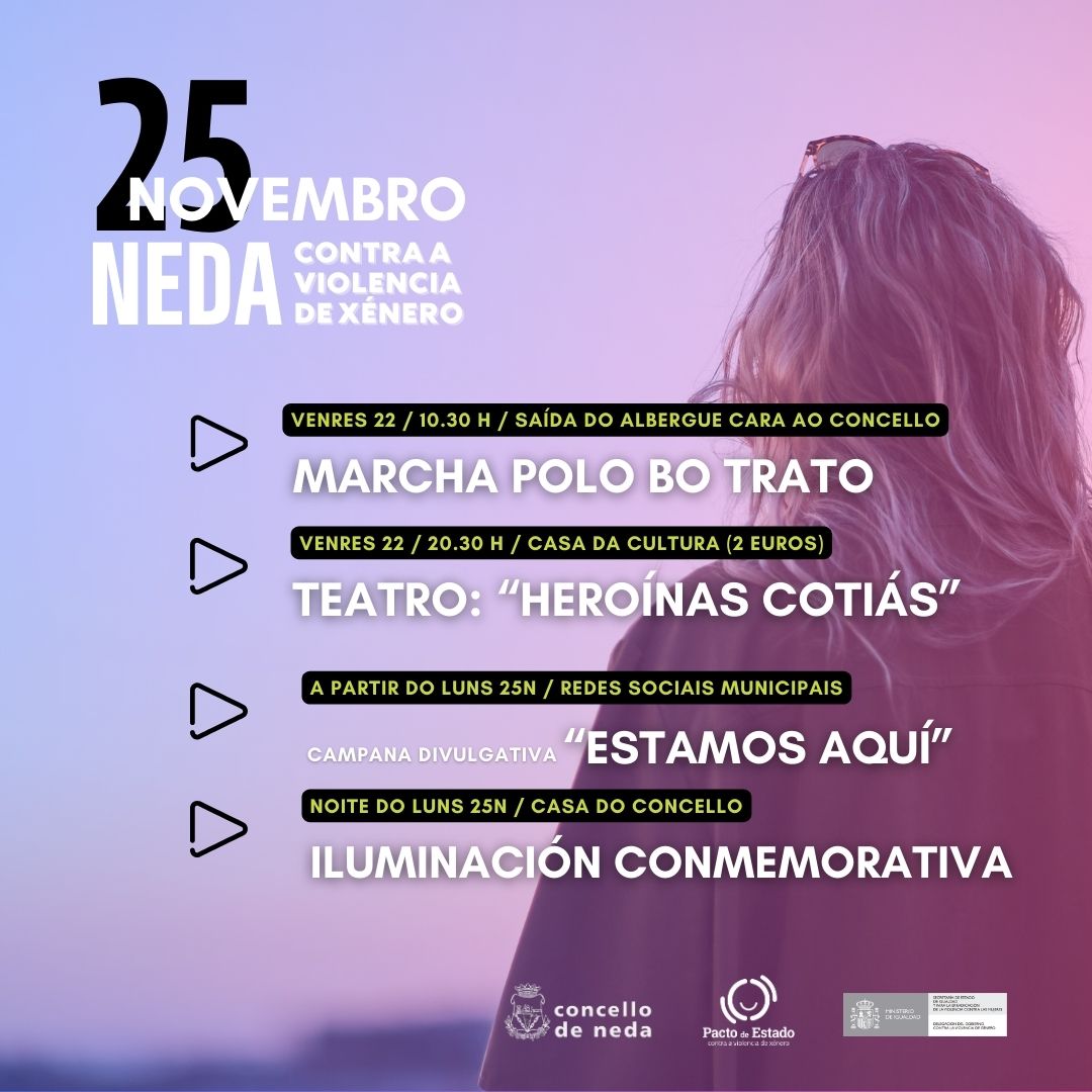 cartel RRSS programación especial 25 N Neda