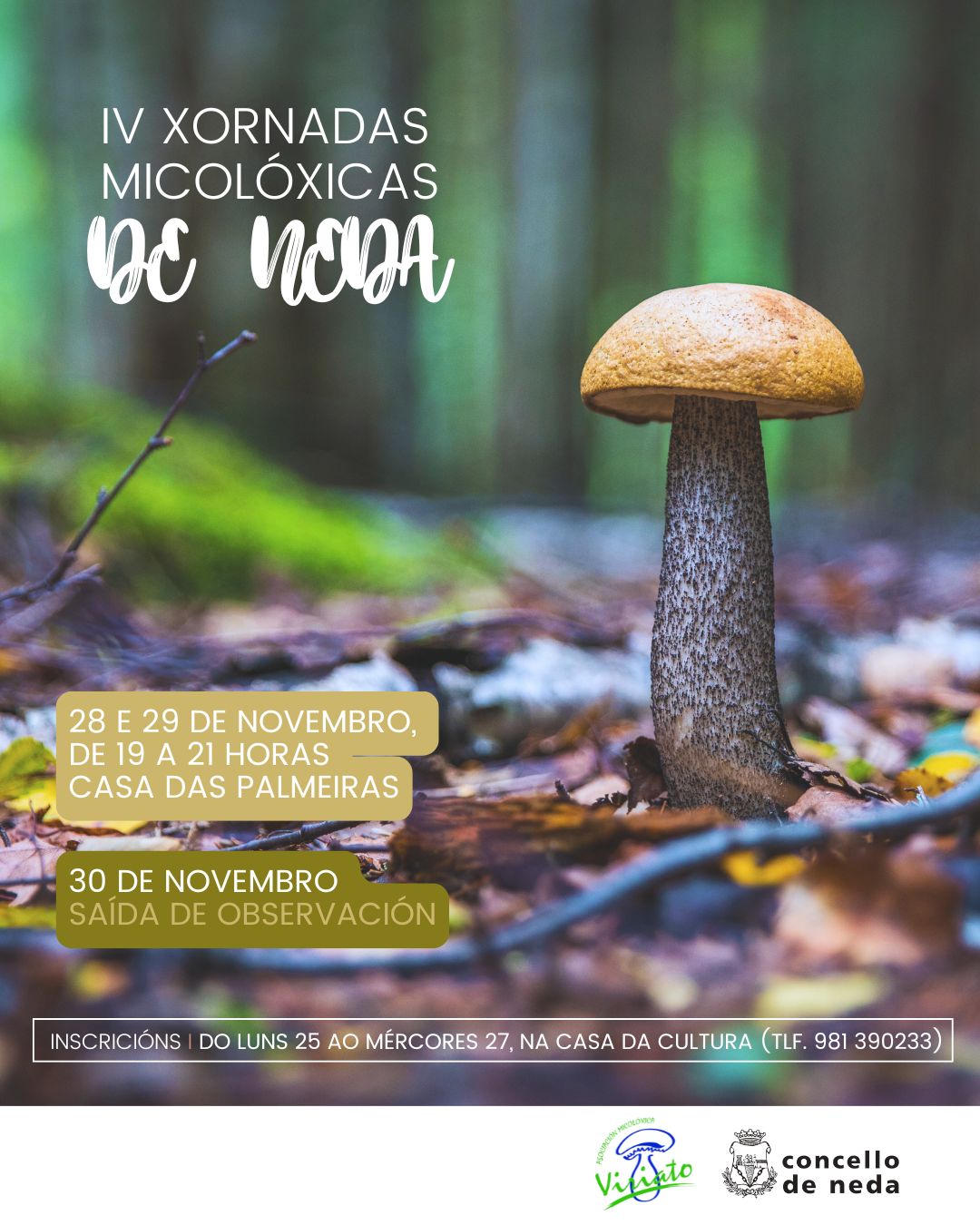 cartel xornadas micolóxicas Neda