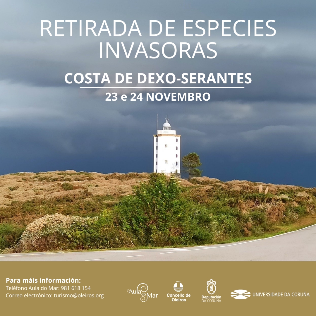 voluntariado costa dexo serantes (1)